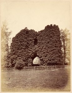 Roundhay Park