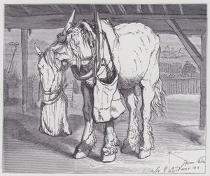 bir araba atı by Edwin (after) Landseer