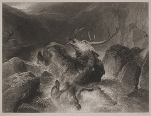John Cousen (1804-80) tarafından kazınmış Geyiklerin Ölümü