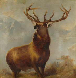 Glen