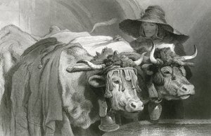 Tankta öküz, Cenevre (gravür) by Edwin (after) Landseer
