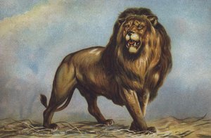 Landseer, National Gallery, Londra tarafından Trafalgar Meydanı