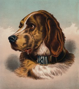  by Edwin (after) Landseer