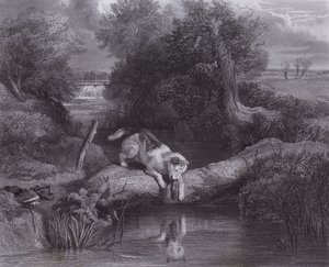 Köpek ve Gölge (gravür)