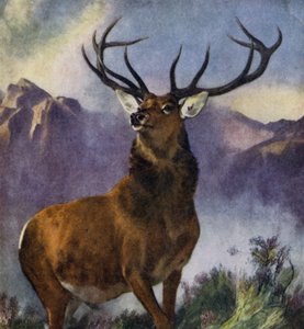 Glen