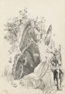 Alt ve Titania, Bir Yaz Gecesi için illüstrasyon by Edwin Austin Abbey