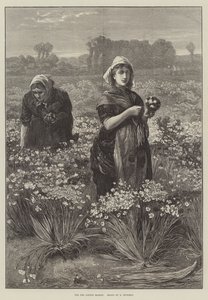 Londra Pazarı için (gravür) by Edwin Buckman