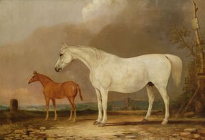 Bilinmeyen resim by Edwin Cooper