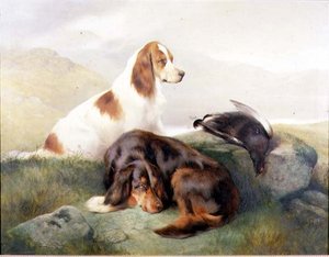 Günün Çantasına Göre by Edwin Douglas