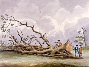 15 Ekim fırtınasında hasar gören ağaçlar, Roehampton, Londra, 1780 by Edwin Edwards