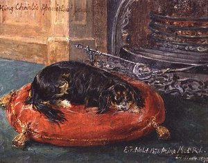 Kral Charles Spaniel Dinleniyor