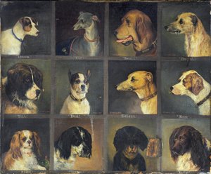 En Sevilen On İki Köpek, 1883