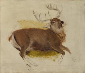 Ölen Geyik, ca. 1830. by Edwin Landseer