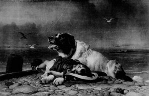 Kaydedildi!, c1856, 1911 by Edwin Landseer