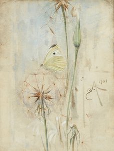 Kelebek ve Devedikeni (suluboya)