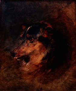 Bir Collie Köpeğinin Baş Çalışması by Edwin Landseer