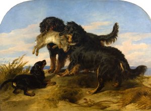 Tavşanlı Retrieverler, 1870 dolayları (tuval üzerine yağlı boya) by Edwin Landseer