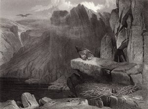 Kartal yuvası by Edwin Landseer