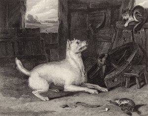 ಒಳನುಗ್ಗುವ ಟರ್ಕಿ by Edwin Landseer