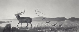kurtarma by Edwin Landseer