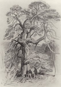 Yaşlı Köknar Ağacının Altında by Edwin Landseer
