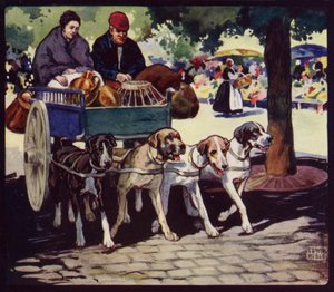 Bir Fransız Köpek Arabası (renkli taş)