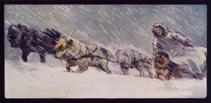 Bir Esquimaux Kızak Köpeği Takımı (renkli taş)
