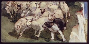 Uçurumlarda Kısa Kuyruklu Çoban Köpeği ve Sürü (renkli taş) by Edwin Noble