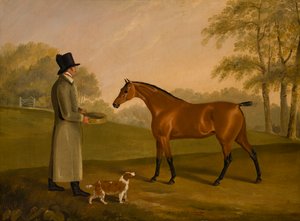 Damatla Bir Manzarada Bir At, David, Bennet, c.1805 (tuval üzerine yağlı boya)