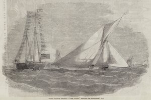 Royal Harwich Regatta, Amazon Commodore Kupası