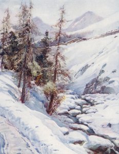  by Effie Jardine