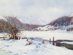  by Effie Jardine