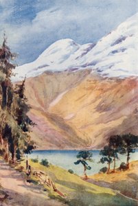  by Effie Jardine
