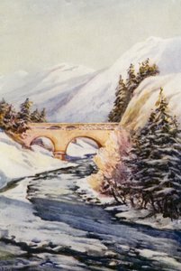  by Effie Jardine