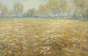 çiçek açan çayır by Egbert Rubertus Derk Schaap