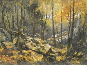 Kayalar denizi by Egbert Schaap