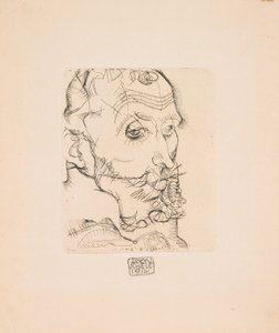 Franz Hauer