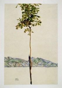 Baeumchen - Konstanz Gölü üzerindeki kestane ağacı by Egon Schiele
