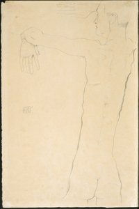 Kollarını Kaldırmış Çıplak Adam (rekto) by Egon Schiele