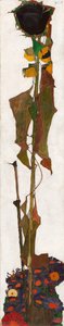 Ayçiçeği, 1909-1910. by Egon Schiele