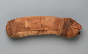 Bir kedinin mumyası (hayvan kalıntıları ve keten) by Egyptian