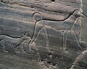 Bir çift köpek, girişte kabartma, Sarenput II Mezarı, Prens Mezarları, Qubbet el-Hawa, Aswan'da Nil'in batı yakası, Mısır Uygarlığı, Orta Krallık, Hanedan XII by Egyptian 12th Dynasty