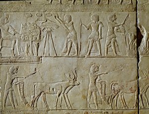 Mısır antikası: tarlalardaki çalışma sahneleri ve firavuna adaklar. Tutankhamun kraliyet katibi Horemhed