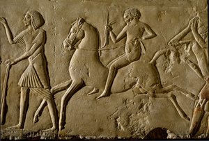 Mısır antikası: “” at sırtında savaşçı”” Yüksek bir haysiyetin mezarından kabartma. 1354-1346 M.Ö. 18 hanedanı. Bolonya, Civico Museo Archeologico by Egyptian 18th Dynasty