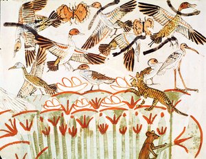 Bataklıklarda balık tutma ve kümes hayvanları, kuşların detayı, Menna Mezar Şapeli, Yeni Krallık (duvar resmi) by Egyptian 18th Dynasty