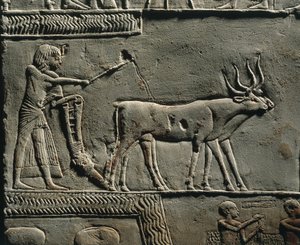  by Egyptian 18th Dynasty