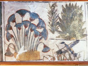  by Egyptian 18th Dynasty