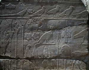 Thutmose III#39;ün MÖ 1465#39;teki Suriye seferinden getirilen bitki ve hayvanlar, kabartma detayı, Botanik Bahçesi olarak bilinen salon, Amun Tapınağı, Karnak Tapınak Kompleksi, Mısır Uygarlığı, Yeni Krallık, XVIII. Hanedan by Egyptian 18th Dynasty