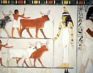  by Egyptian 18th Dynasty