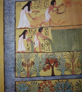 Doğu Duvarında Sennedjem Mezarı, İşçi Köyü, Yeni Krallık